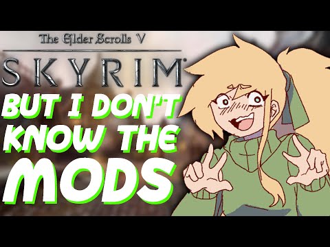 MODDED SKYRIM, BUT I DON'T KNOW THE MODS! | Skyrim with Mods