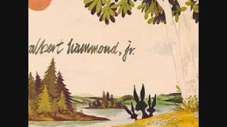 call an ambulance- albert hammond jr,