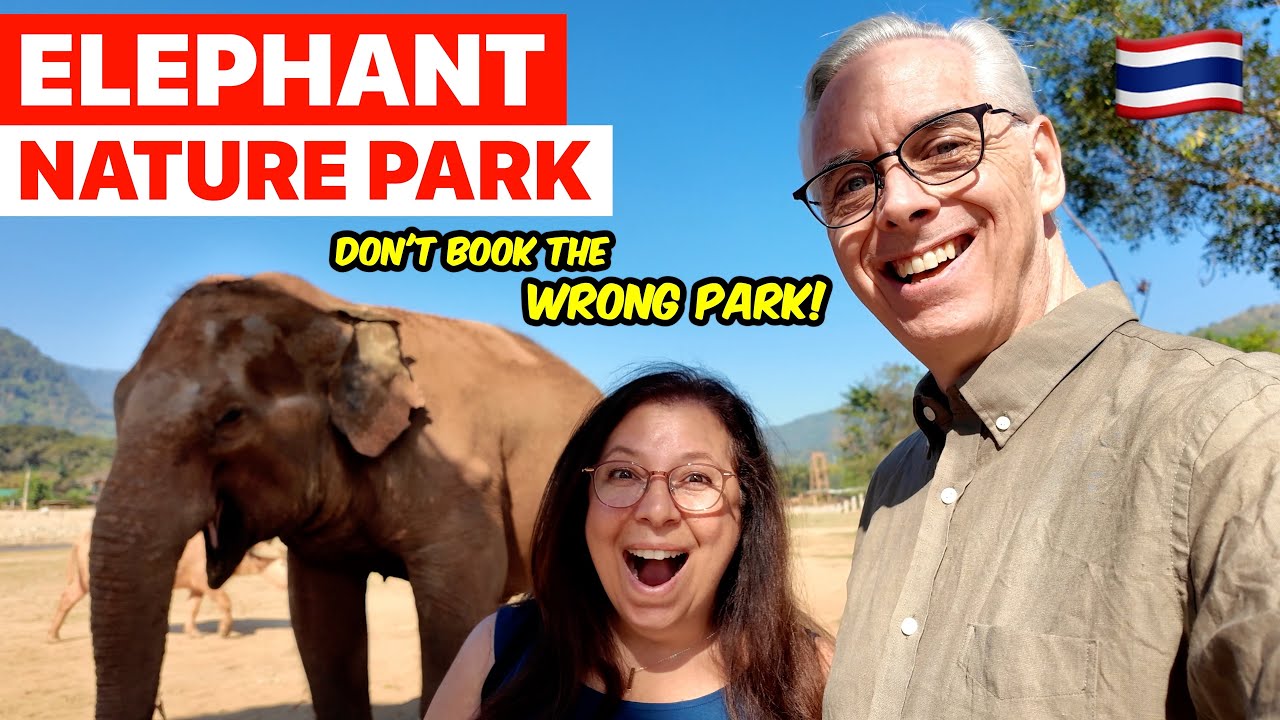 Experience Elephant Nature Park as tourists recount the experience of their visit.