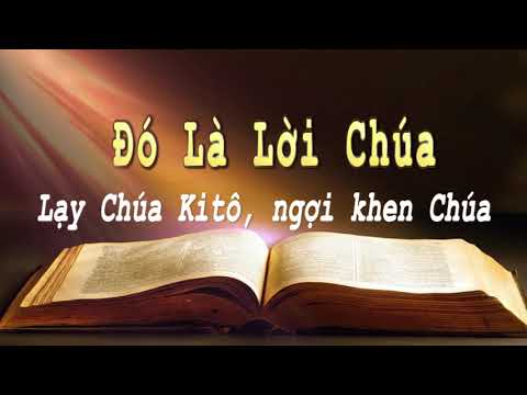 Mục tử nhân lành  – Chúa nhật XVI Thường niên B