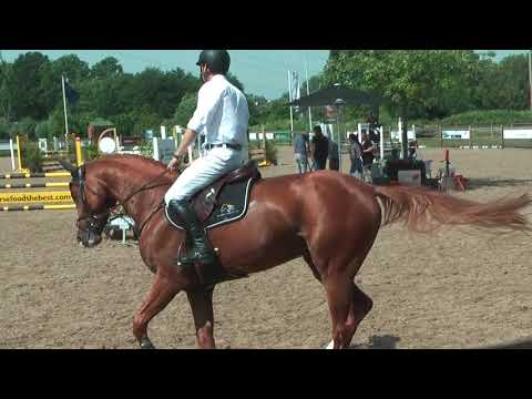 4jr wedstrijd Moergestel