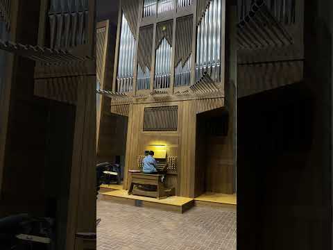 Ece plays the pipe organ