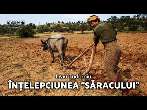 The Wisdom of the "Poor" - Liviu Tudoroiu - AZSMR-Bucov REPLAY