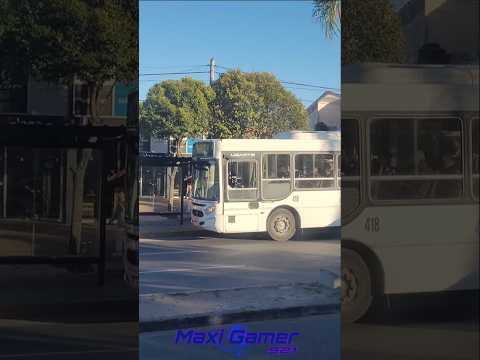 TEP / Zenit / FONO BUS / SARMIENTO / Car Cor / TRANSPORTES CORDOBA #busologia #shortsviral #short