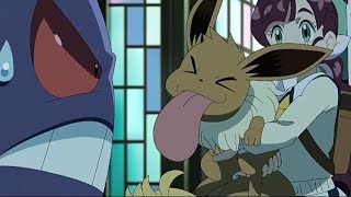 Eevees Funny Moments in  Pokemon Journeys
