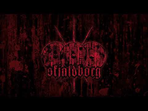 skjaldborg - Narben (lyric video)