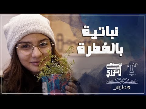 هستوري نباتية بالفطرة