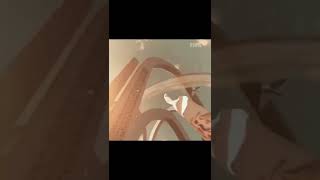 Download lagu Iklan Piala Dunia di-edit Pake Lagu Sarung Wadimor mp3