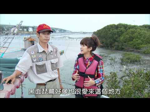 100年樂活農村-第016集 海味七股逍遙遊
