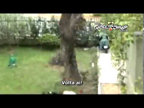 ParTOBA 8 - Mr. Áveres