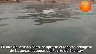 preview picture of video 'Aguas muy contaminadas se aprecian en el Puerto de Chancay'