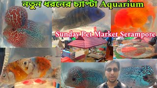 একদম নতুন চ্যাপ্টা Aquarium | Serampore Pet Market | Shrirampur Fish Market | Aquarium Accessories 
