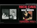Nick Cave & The Bad Seeds - Up Jumped the Devil [320kbps, best pressing]