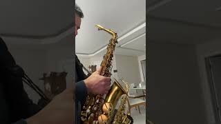 Video thumbnail for Sax Alto Yamaha YAS 82Z Vs Selmer Ref 54 - By Rubens Mariano by Rubens Mariano Sax🎷
