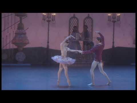 Nutcracker Grand Pas de Deux - Jackson Calhoun & Evelyn Robinson