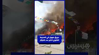 اندلاع حريق مهول في المحيط الغابوي لسد بني هارون بالجزائر thumbnail