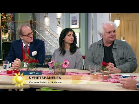 Om Luciahatet: "Ge inte luft åt idioterna!" - Nyhetsmorgon (TV4)