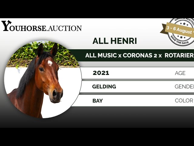 All Henri under the saddle