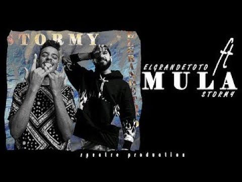 Stormy ft ElGrandeToto - Moulaga Extrait 🔥 🔥