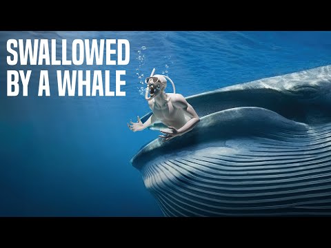 5 Unexpected Diving Deaths: When Diving Went Wrong