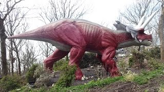 preview picture of video 'NEW 2015 - blackgang chine - triceratops family - restricted area 5 - isle of wight'