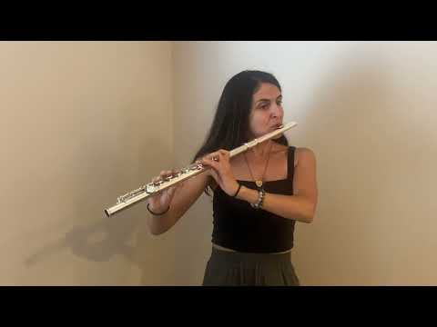 Gemeinhardt 50 Series - Gold Lip Plate Silver Plated image 26