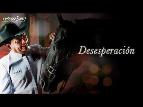 Desesperación | @Aries Vigoth (Audio Oficial)