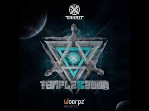 X-Avenger vs System Sequence - Freak Frequency (Gambit Rmx)