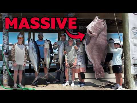 Giant Grouper Caught Deep Sea Fishing in Louisiana