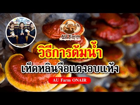 ใบหน้าตื่นเต้นของสาว ๆ ที่ดีที่สุดของยาต้านความอ่อนแอ