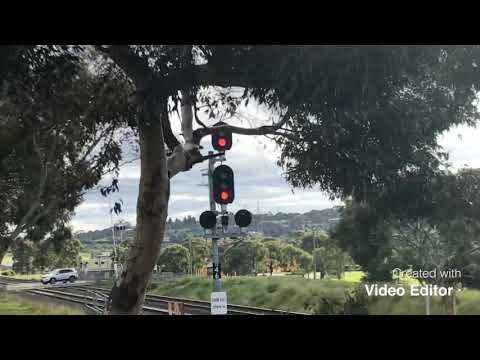 81 class Grain train part 2