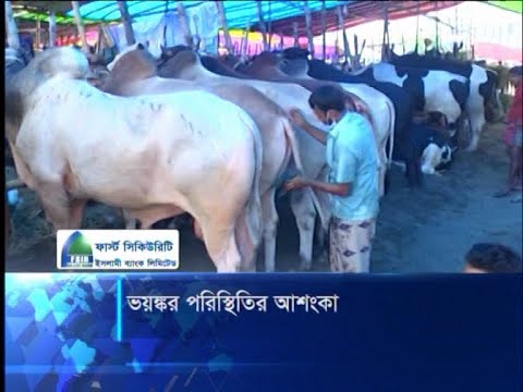 ভয়ঙ্কর পরিস্থিতির আশংকা