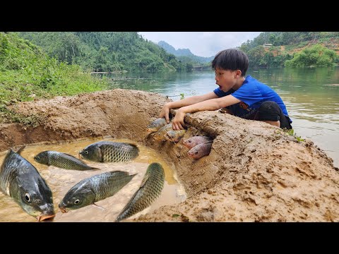 Creating a fish trap next to the lake, the orphan boy harvested many big fish