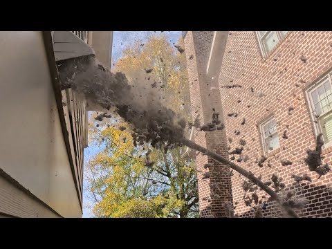 EVER SEEN A DRYER VENT EXPLODE? I Have Now!! DRYER VENT CLEANING! #almetaldryervent #sealegend