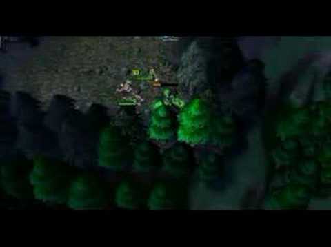 Night Elves Tricks Show