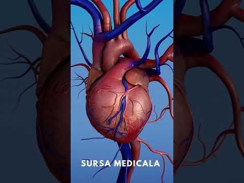 Inima - animație 3D #anatomie #biologie  #sursamedicala #heart