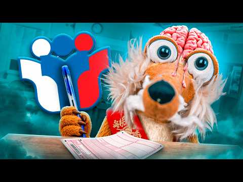 I took the Unified State Exam - trash history