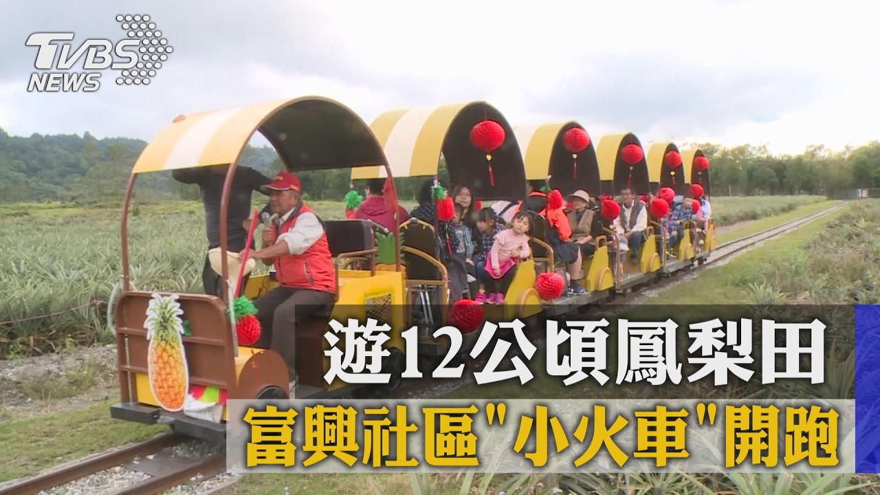 富興社區「小火車」開跑 遊12公頃鳳梨田
