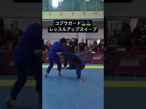 コブラガード🐍〜レッスルアップスイープ#柔術 #jiujitsu #sweep