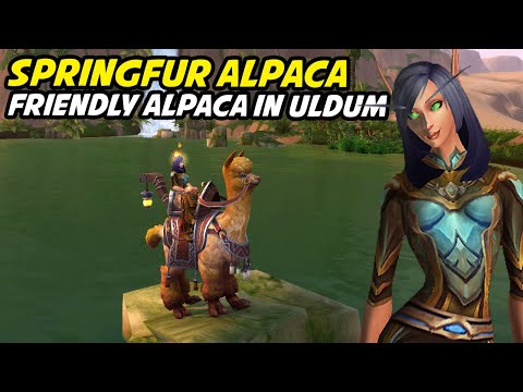Springfur Alpaca - Feeding the Friendly Alpaca (Alpaca It in)