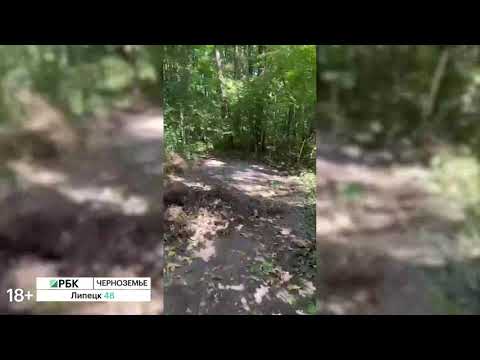 Обложка видео