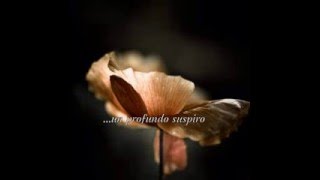 Sospiro - Bardo State Buddha Bar IX