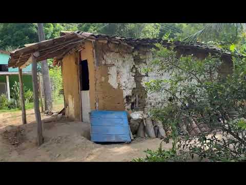 Fazenda pitimiju cajueiro Alagoas 