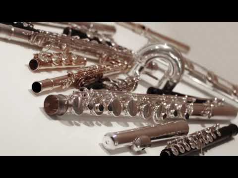 @ionbogdanstefanescu  Violeta Dinescu   Șarpelecupene III for alto flute & 16 flutes