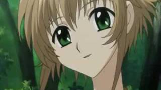 if she only knew ~ tsubasa chronicle