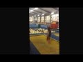A Talent By Dreyson