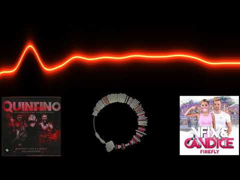 QUINTINO X NFIX & CANDICE vs. NFIX AND CANDICE - ZOO ADVENTURE vs. FireFly (Lukyn Mashup)