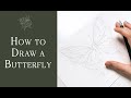 How to Draw a Butterfly Tutorial
