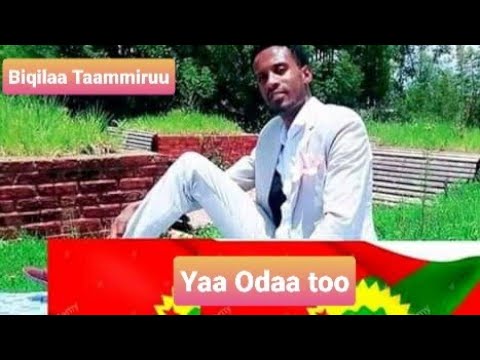 Biqilaa Taammiruu-Yaa Odaa too-New 2021