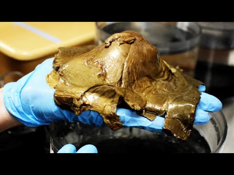 Unidentified Deepwater Biological Specimen Found by NOAA ...